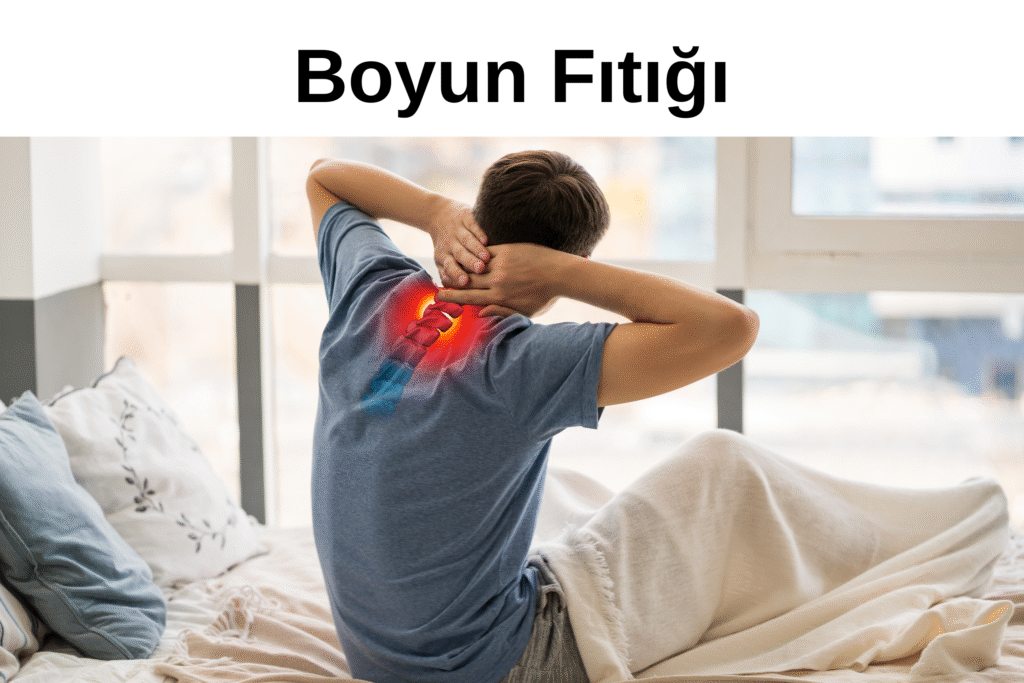 bir başlık ekleyin 2